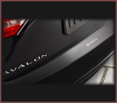 Rear Bumper Applique
